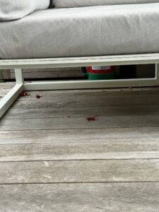 Extincteur eau terrasse particulier 1