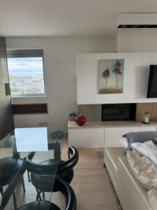 Sejour vue toits paris 1